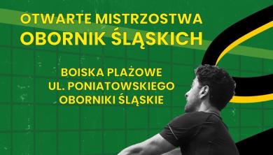 Otwarte Mistrzostwa Dolnego Śląska (OMOŚ)