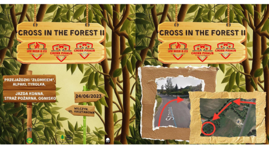 Plakat Cross In The Forest II