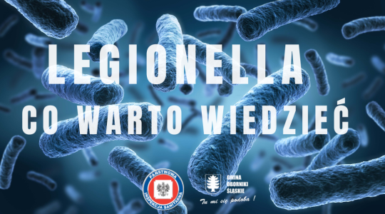Legionella - co warto wiedzieć