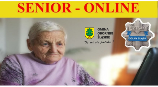 Senior Online